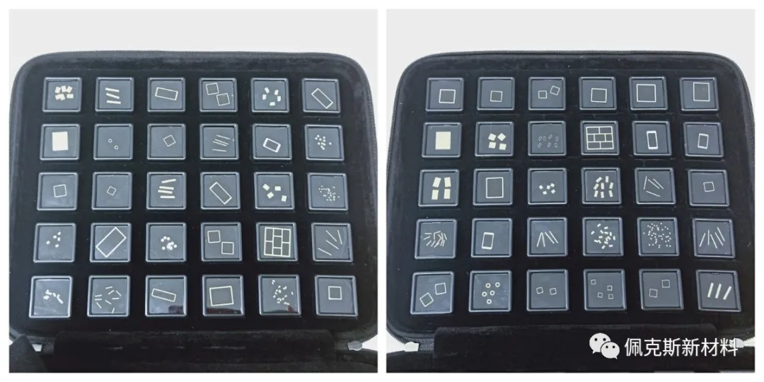 8_20210317-19.jpg 圖片